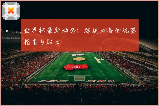 世界杯最新动态：球迷必备的观赛指南与贴士