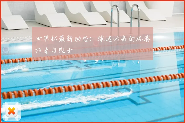 世界杯最新动态:球迷必备的观赛指南与贴士
