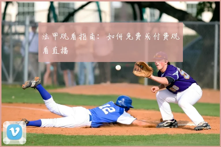 法甲观看指南：如何免费或付费观看直播