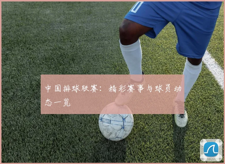 中国排球联赛：精彩赛事与球员动态一览