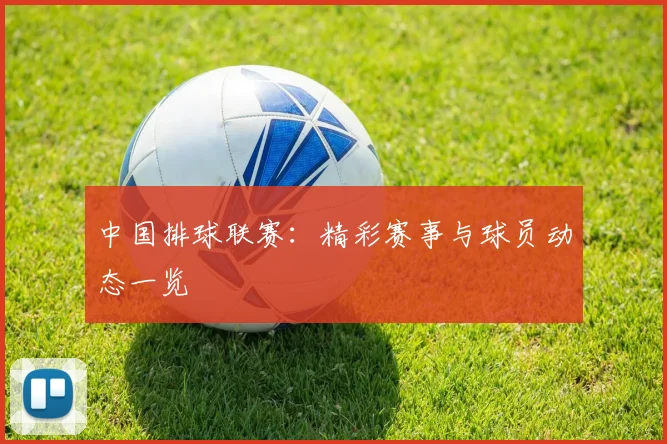 中国排球联赛：精彩赛事与球员动态一览